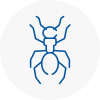 Ant Removals In Sunderland