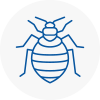 Bed Bug Extermination In Sunderland