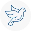 Bird Prevention Sunderland