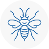 Sunderland Hornet Nest Removals