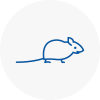 Mice Exterminators In Sunderland