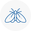 Moth Control Specialists In Sunderland