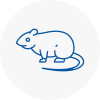 Rat Control Sunderland