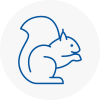 Sunderland Rodent Removals