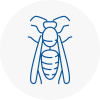 Sunderland Wasp Nest Removal